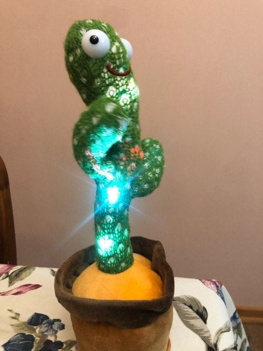 Smart Dancing Cactus